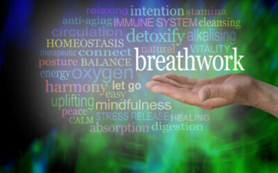 The Power of Breathwork: Enhancing Your Reformer Pilates Practice